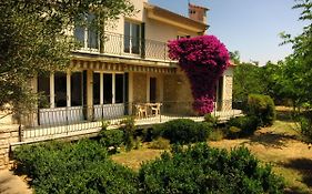 Maison lumineuse et spacieuse avec jardin arboré