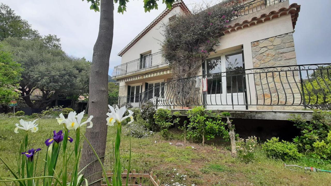 Maison lumineuse et spacieuse avec jardin arboré La Valette-du-Var Extérieur photo